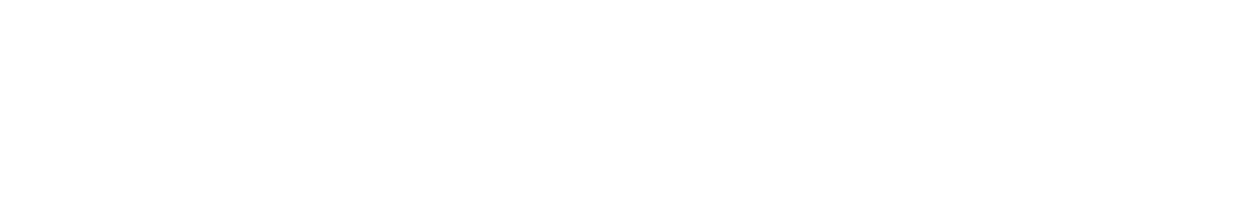 Asset 4.png